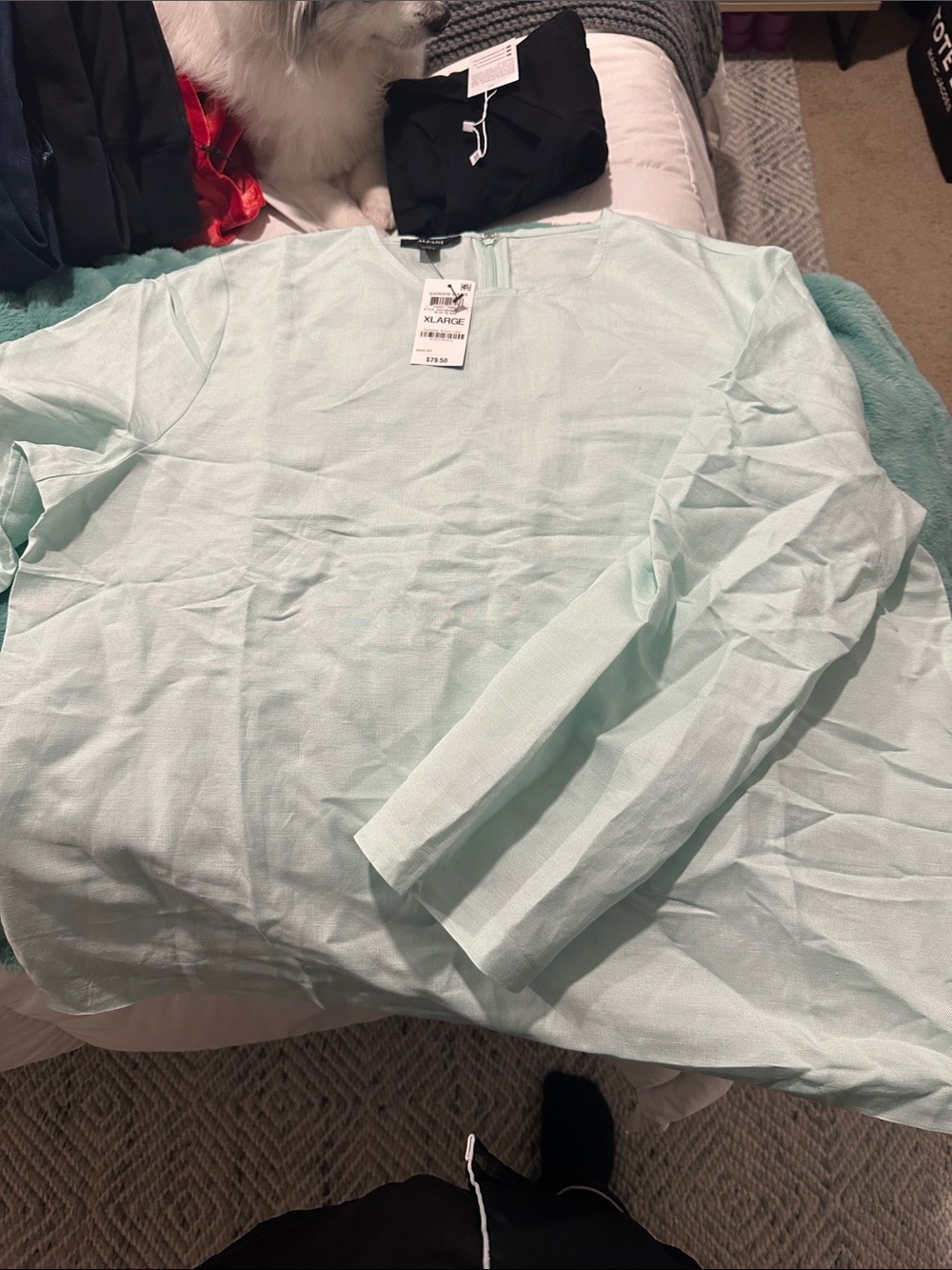 Alfani Light Mint Long Sleeve Crew Neck Shirt